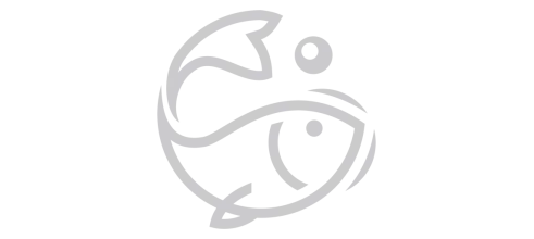 Провайдер Fishing Провайдер Fishing